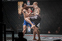 ONE Championship: ASCENT TO POWER
