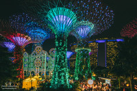 Christmas Wonderland